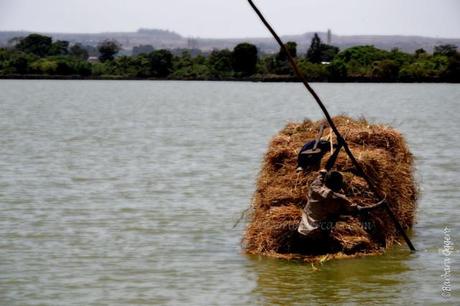 Un carico e il suo traghettatore sul lago Tana