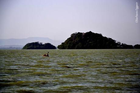 Il lago Tana in Etiopia