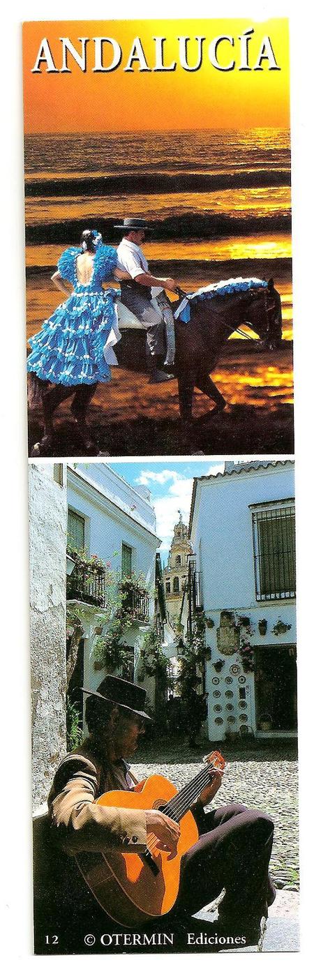 La mia collezione di segnalibri!