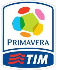 Primavera-TIM