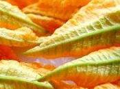 Fiori zucca pastella