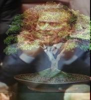 berlusconi-bonsai