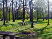 Ponti vista… gite spiaggia bosco? dimentichiamo l’ecosostenibilità. Ecco cesto Minimo Impatto