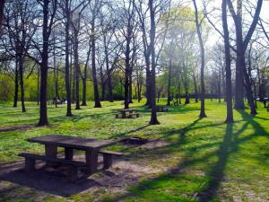 Ponti in vista… gite in spiaggia o nel bosco? Non dimentichiamo l’ecosostenibilità. Ecco il cesto da pic nic a… Minimo Impatto