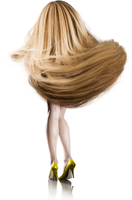 Linea CRYSTAL SHINE della MASTERLINE