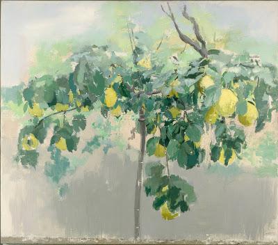 El sol del membrillo