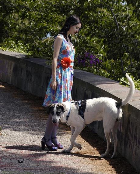 POPPIES ON MY DRESS