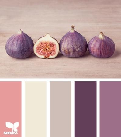 palette colors