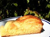 Torta ricotta mele
