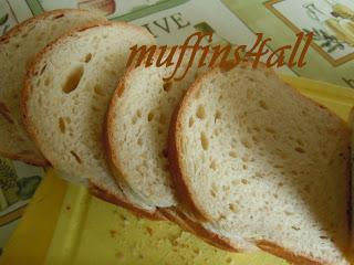 Pain de mie con solina e lievito naturale liquido