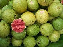 guava2