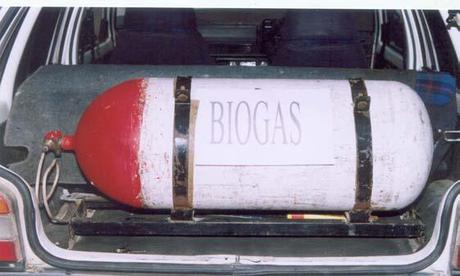 Biomasse, Biogas e Digestori – parte 4