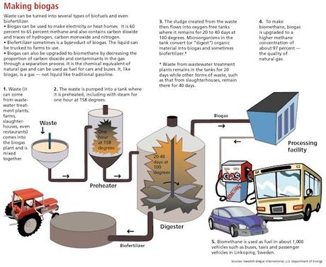 Biomasse, Biogas e Digestori – parte 4