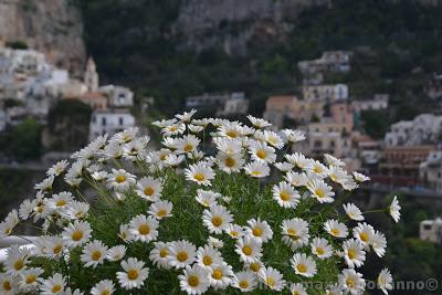 POSITANO: curiosità e varie