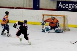 Monleale Hockey Inline