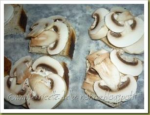 Crostini con mozzarella, funghi champignon e santoreggia (5)