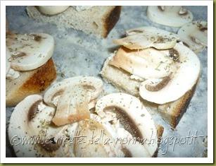 Crostini con mozzarella, funghi champignon e santoreggia (6)