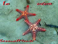 Ritrovare sesso passione problemi invalidità fisica, solo... 