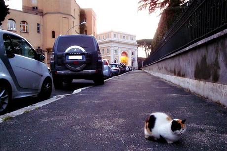 SOSTA ANIMALE. IL SUV NON ENTRA NEL PARCHEGGIO E SI METTE DI SBIECO CON LA RUOTA SUL MARCIAPIEDE. I VIGILI PASSANO, GUARDANO E IGNORANO. A ROMA SI PUO'.