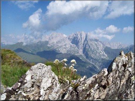 CIMON DI CRASULINA ALPI CARNICHE.