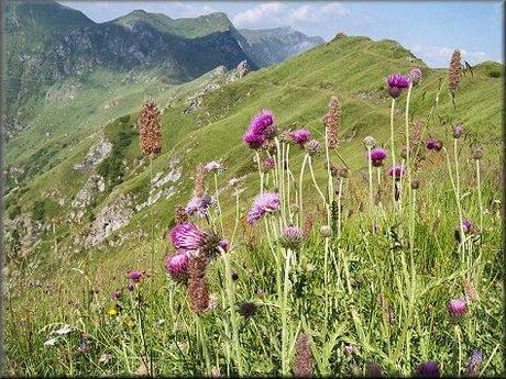 CIMON DI CRASULINA ALPI CARNICHE.