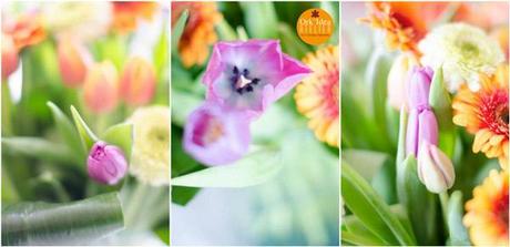 GERBERE TULIPANI E BIGLIE / Gerberas, tulips and marbles