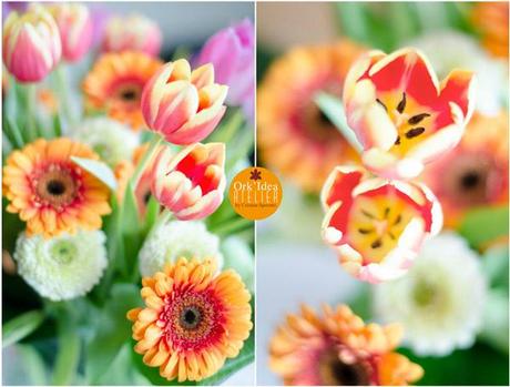 GERBERE TULIPANI E BIGLIE / Gerberas, tulips and marbles