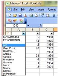 excel 2003 guida all'uso
