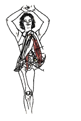 Hatha Yoga: RAJAKAPOTASANA  postura del piccione reale – variante piegamento in avanti