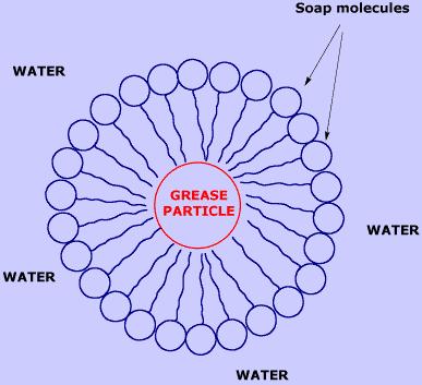 Scienza leggera: come funziona il sapone?