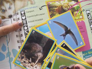 Di Album...figurine....e Premi..!