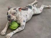 Come riciclare giornali? insegna Will Kurtz