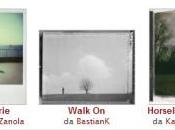 Foto della settimana