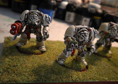 Discussioni e soluzioni a molte questioni