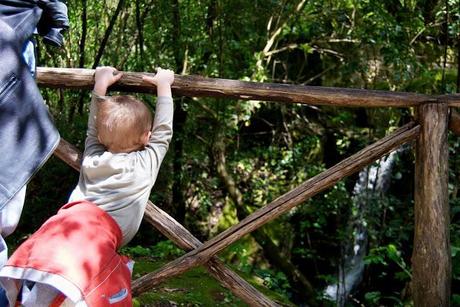 Il Parco dei Mostri di Bomarzo: un'avventura per grandi e piccini