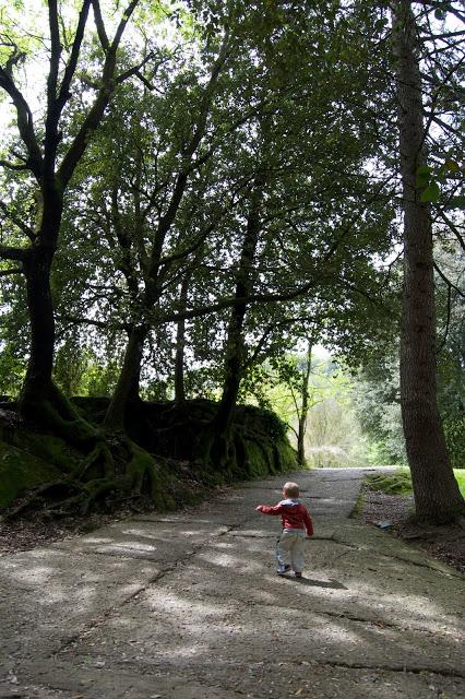 Il Parco dei Mostri di Bomarzo: un'avventura per grandi e piccini