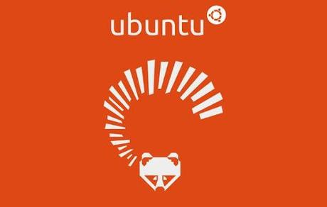 Ubuntu 13.04 Guida completa Installazione Aggiornamento e Prima Configurazione