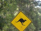 Downunder