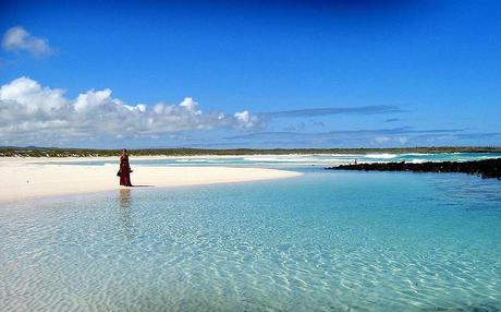 Una spiaggia dell'arcipelago delle Galapagos (foto di mtchm)