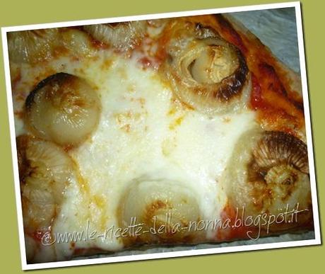 Pizza di farina di segale con cipolline (11)