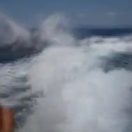 Messico, le orche saltano sulla scia del motoscafo (video)