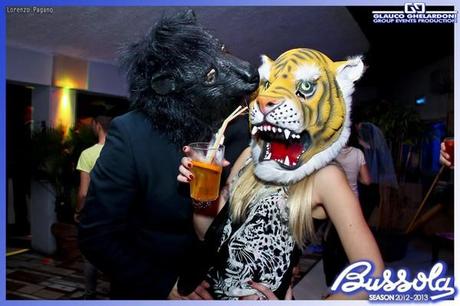 foto animal party bussola