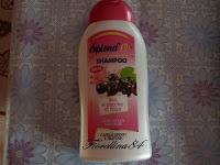 Shampoo ai fiori e bacche di ribes