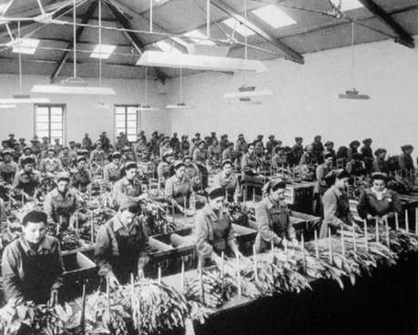 1 maggio... Non dimentichiamo che