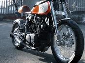 promising Orange project