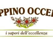 Risotto mantecato crema zucchine burro Occelli, pesto,speck salsiccia ubriaca