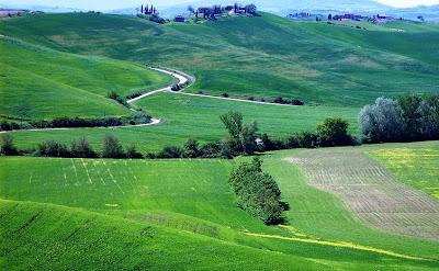 VIAGGI DI PRIMAVERA ... MONTERIGGIONI & IL PROSCIUTTO DI CINTA SENESE ...