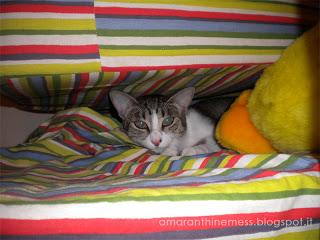 Io sceglierei le cipolle - primo maggio e cazzimiei random