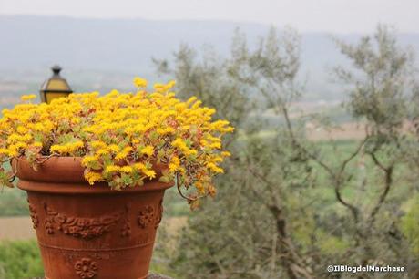 Appuntamento a…Todi