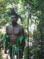 Ai militari indonesiani fanno gola le foreste di Papua